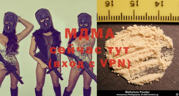 шишки Алзамай