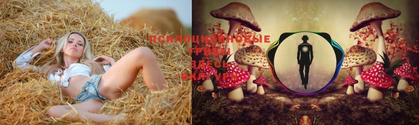 прущие крисы Алексеевка