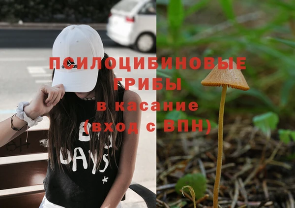 прущие крисы Алексеевка