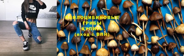 шишки Алзамай